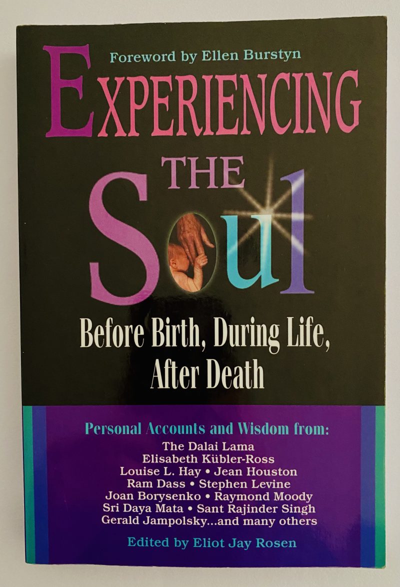 Experiencing the Soul: Before Birth, During Life, After Death - Image 2